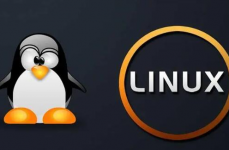 操作体系linux,什么是Linux？