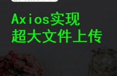 vue中运用axios, 装置Axios