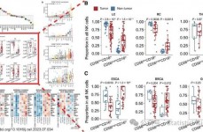 r言语boxplot,boxplot函数根本语法