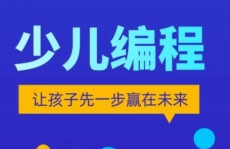 ai代码,未来编程的新篇章