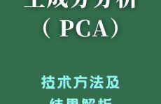 r言语pca,原理、过程与实例解析