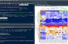 r言语热图,从根底到高档运用