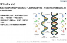 美ai综合征,打破与应战