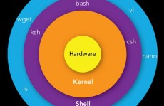 linux中bash是什么,什么是Linux中的Bash？