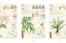 中药数据库,中医药现代化的信息宝库