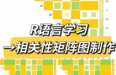 r言语cor,深化了解相联系数核算