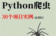 python爬虫有什么用,Python爬虫的广泛运用与价值