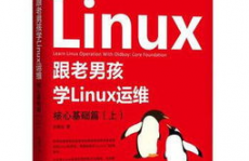 老男孩linux训练,老男孩Linux训练——敞开你的Linux技能之旅