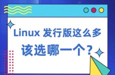 linux哪个体系好用,Linux体系哪个好用？深度解析不同发行版的优缺点