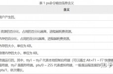 linux检查正在运转的进程,什么是进程？