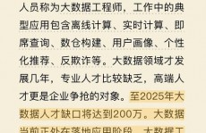 大数据研制工程师,引领数据年代的立异前锋