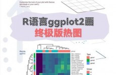 r言语lapply,高效处理列表的利器