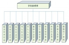 学生信息管理体系数据库规划