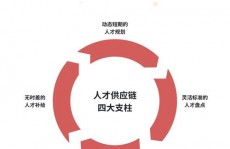 数据库招聘,揭秘企业怎么高效选拔人才