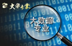 大数据科学与技能专业,大数据科学与技能专业概述