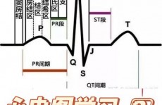 心电数据库,心电数据库的重要性与概述