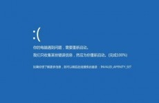 电脑不能发动windows怎么办,电脑不能发动Windows怎么办？全面解析发动毛病处理办法