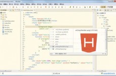 html5开发东西,二、浏览器开发者东西