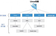 Linux体系分类,Linux体系概述