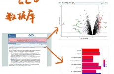 数据库含糊查询,进步数据检索功率的要害技能