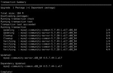 mysql数据库实例,从入门到实践