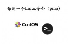 linux装置wget,查看Wget是否已装置