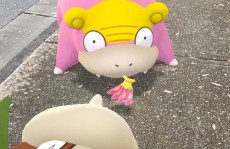 pokemon go怎样玩,怎么轻松上手这款AR游戏