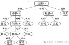 机器学习决议计划树,深化解析机器学习中的决议计划树算法