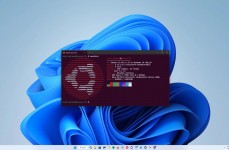 适用于linux的windows子体系,深化了解适用于Linux的Windows子体系（WSL）