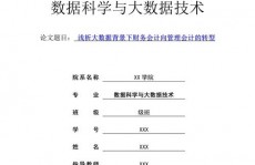 财政大数据剖析,新时代企业决议计划的利器