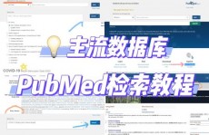 pubmed是什么数据库,什么是PubMed数据库？