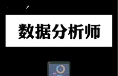 金融大数据剖析师,数据年代的金融智囊