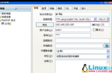 linux建立ftp服务器,Linux建立FTP服务器全攻略