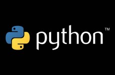 什么是python,什么是Python？