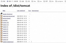 linux检查tomcat版别