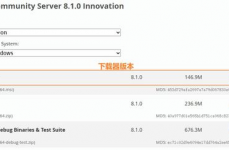 mysql下载及装置教程