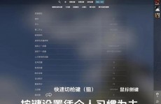 cs go怎样语音,CS:GO语音设置详解