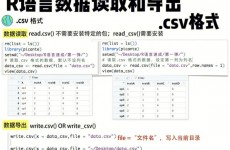 r言语导出数据,办法与技巧详解