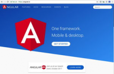 angular官网,构建高效Web运用的攻略