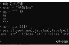 python中str是什么意思,什么是Python中的str？