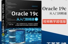 oracle数据库入门教程, 什么是Oracle数据库？