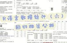 r言语社区,技术沟通与资源共享的盛宴