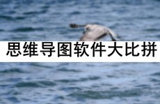 linux运用商铺,什么是Linux运用商铺？