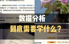 大数据抓取软件,敞开数据搜集新时代