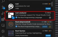 rust怎样调中文,Rust编程言语中完成中文输入与处理的办法