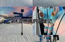 go ski,Go Ski 滑雪体会全攻略