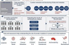 cosmic数据库,癌症体细胞骤变研讨的强壮东西