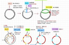 mysql并行仿制,MySQL 并行仿制的概述