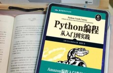 python运用,从入门到实践，探究编程国际的无限或许