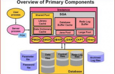 oracle什么意思,从古希腊神谕到现代技能巨子